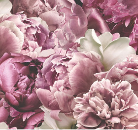 Фотообои Peonies 300*280